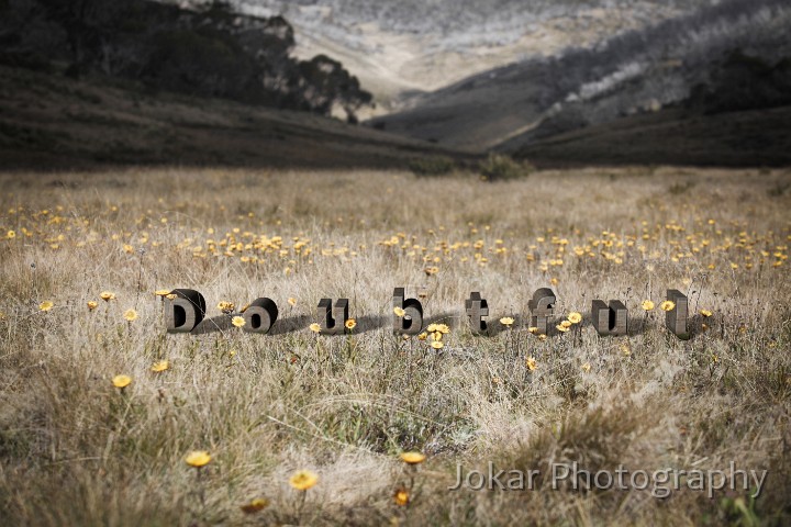 Doubtful Gap.jpg - DoubtfulThe place names of the Snowy Mountains region have always seemed very special. For me at least, they have a romantic, even magical resonance in their sounds and the feelings that they evoke. Names like ‘Bogong’, ‘Monaro’, ‘Crackenback’, ‘Dead Horse Gap’, ‘Perisher’, ‘The Dargals’, ‘Pugilistic Creek’, ‘Dicky Cooper Bogong’, ‘Sue City’ - they conjure up images and stories of times past, narratives of the Aboriginal peoples, the early European explorers and pastoralists, the workers of the Snowy Mountains Hydro Scheme and the skiers and hikers of modern times.The contemporary names are now fixed and codified by the Geographic Names Board (for NSW). This conceals a history of confusion, change, and contention as European society struggled to impose a set of names onto the landscape which had managed to exist (quite satisfactorily!) without labels on every locality and topographic feature.There are many difficulties in establishing the names used by the Aboriginal people in the Snowy Mountains region (and similar problems in many other places too). Indigenous naming systems were not like that of the Europeans colonists who appropriated their country.There were more than 300 different language groups across the continent prior to European settlement, and several groups that converged on the Snowy Mountains (especially for the summer Bogong moth migration), including speakers of Ngarigo, Ngunnawal, Yuin, Walgalu, Bidawal and Jaithmathang languages. So one place may have had different names in different languages. One place (especially rivers) may have had several different names, or names which changed according to the season. Land and mythology are inextricably related, and place names were often used to access the spirit and ancestor stories about places to which they are attached.  A name may have been applied to a particular geographic feature as well as to the surrounding region, and some names may have had a secret or sacred dimension, and be known only to particular members of the group. Place names were often used to indicate the value or resources available from that location (the use of ‘Bogong’ for mountain is probably a good example of this). When Europeans arrived in the region they usually sought to learn the local names for places from its owners, custodians and inhabitants. This attempt was fraught with potential for error, however, for all of the reasons above. In the Monaro and Snowy Mountains regions, this quickly became difficult - due to the rapid decline in the Indigenous population, and the disruption of their culture following the colonial settlers’ appropriation of their country. Also, Aboriginal words were often variously transcribed into English text (e.g. ‘Monaro’, ‘Menero’, ‘Maneroo’, ‘Manara’) and descriptions of places (e.g. ‘pretty’ or ‘resting place’) could be erroneously recorded as place names. The early European visitors themselves delighted in giving their own new names to places in the Snowy Mountains, blithely unaware of other names that may have already been given by earlier European arrivals.A contest of names ensued, which can be also seen as a contest for dominance between the narratives and interests of the groups who supported different names. One result is that it can be quite difficult now to reconstruct the journeys of travellers to the region in the 1800s, as the place names they used may not have been recognised by anyone other than themselves!  Our modern ‘Mount Jagungal’, for example, has been variously referred to as ‘Bluff Hill’, ‘Big Bogong’, ‘Targil’, ‘Teangal’, ‘Jar-gan-gil’, ‘Corunal’ and ‘Coruncal’.In my Doubtful image, I wanted to allude (perhaps somewhat obliquely) to this state of confusion and the contested history of place names in the region. ‘The Doubtful’ is in fact the ‘official’ name of a real creek near Mt Jagungal. The Geographic Names Board describes it as “a watercourse about 19km long. It rises about 2 km NNW of North Bulls Peak and flows generally N into Tumut River.”  For me it has extra significance as it runs close to (my grandfather) Archibald Rial’s hut at Farm Ridge, and was the source of its water supply. Family legend has it that he (or his workers) panned the gold for my grandmother’s wedding ring from that creek.Alan Andrews  suggests that its name might derive from the surveyor Thomas Townsend’s uncertainty in 1847 as to whether it flowed into the Tumut or Snowy River systems. A more definitive derivation of the name may be found, but I rather like the uncertainty about ‘Doubtful’...